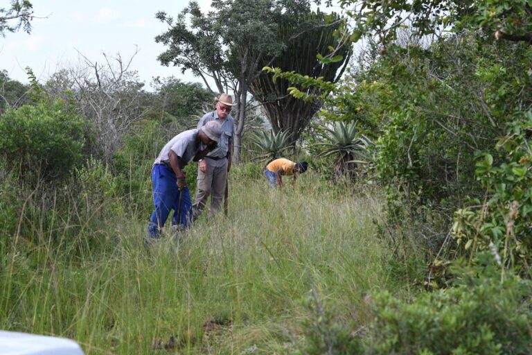 Trail Building Begins – And It’s All Manual!