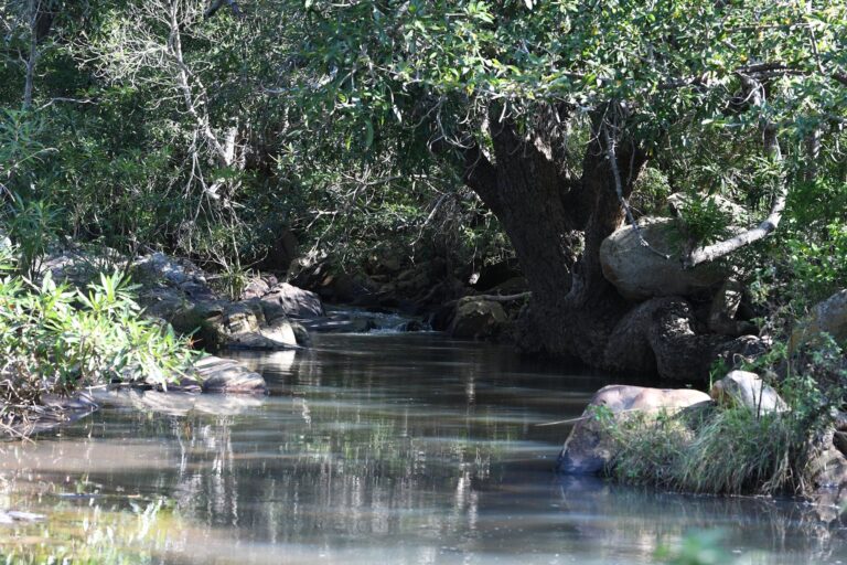Reaching the River