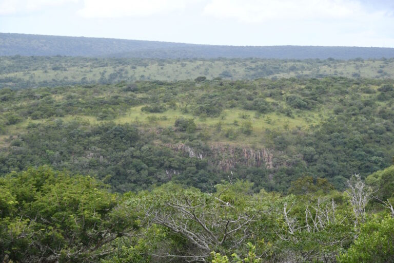 Residential Plots on Highland Fling
